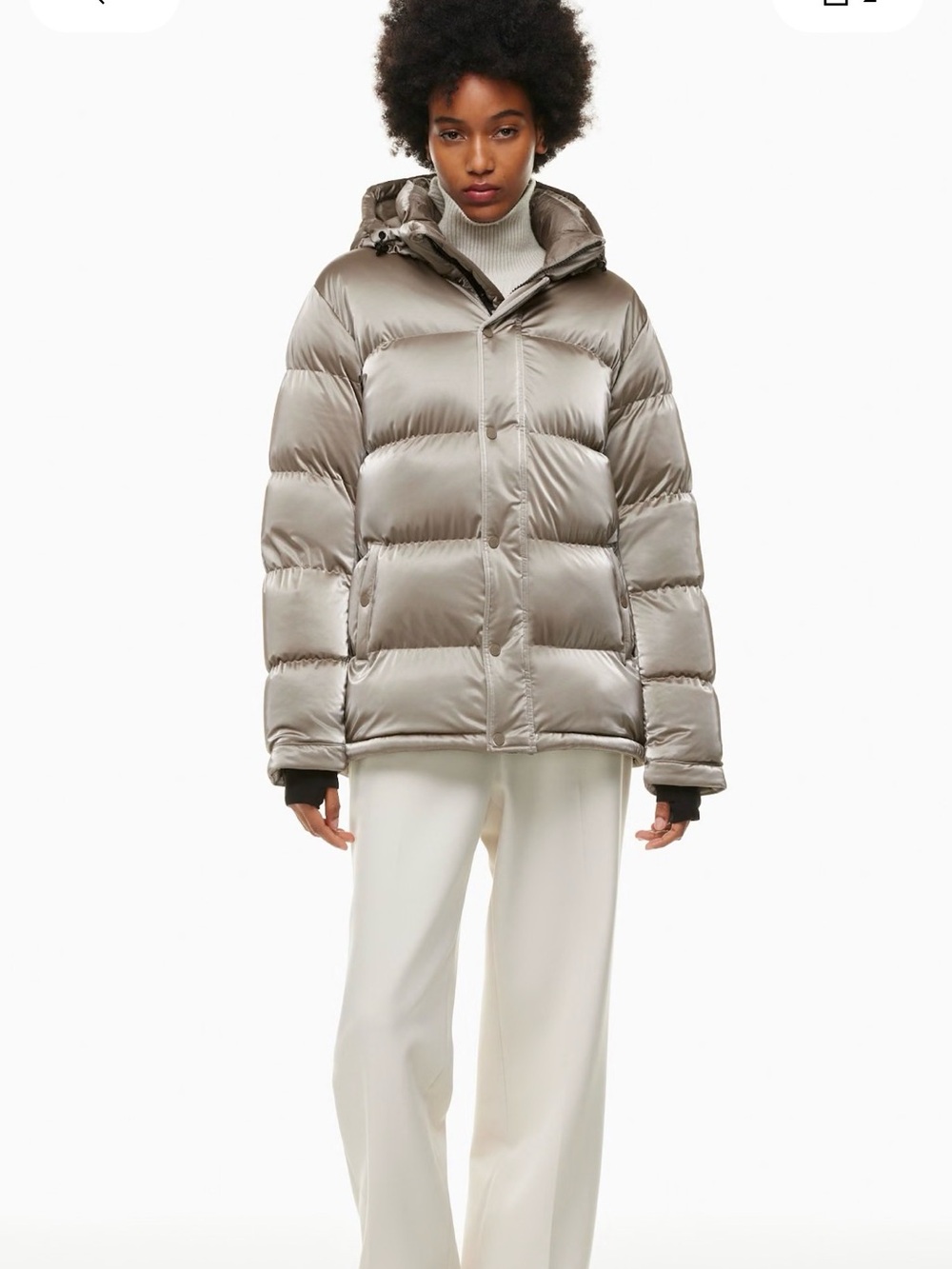 ARITZIA Super Puff Liquid Shine - Picture 1 of 8